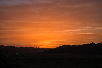 Fototapeta na wymiar Sunrise behind forest in Portugal