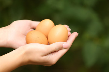 Female hands holding raw eggs, closeup