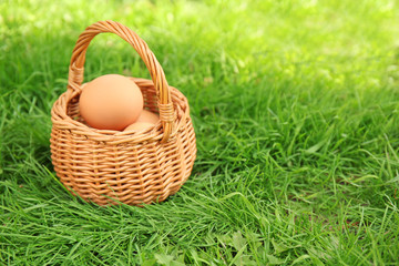 Raw eggs in basket on green grass background