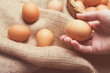 Female hand holding raw egg, closeup