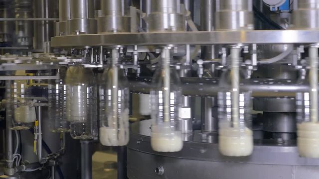 Milk pouring into bottles on a industrial equipment at a milk production factory. 4K.
