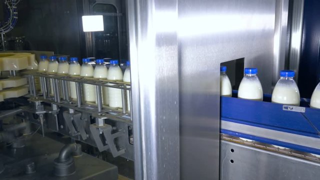 Fresh dairy products, bottles moving on a conveyor. Milk products plant. 4K.