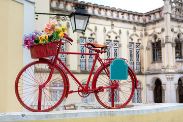 Fototapeta na wymiar red bike with a basket