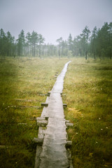 A beautiful mire landscape with a hiking path in Finland - dreamy, foggy look