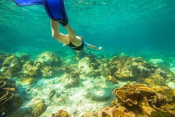 Fotobehang Young female snorkeling in tropical sea. Woman apnea swims in coral reef. © bennymarty