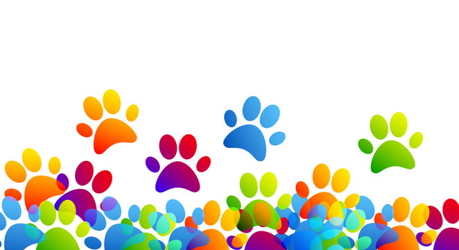 impronte, zampe, animali, orme