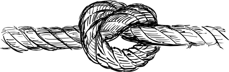 Rope with knot vector illustration