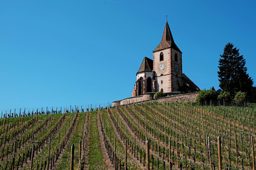 Fototapeta na wymiar Romanische Wehrkirche in Hunawihr im Elsass