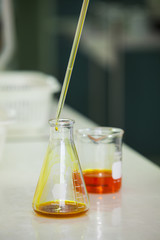 scientist working at the laboratory.