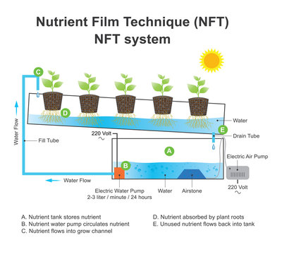 nutrient film technique system.