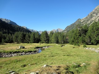 Fototapeta na wymiar mountain valley with stream and meadow