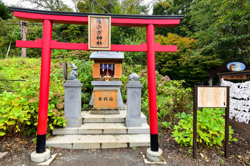 KAWAGUCHIKO, JAPAN - OCTOBER 09 : Usagi Shrine at kachi kachi ro - obrazy, fototapety, plakaty
