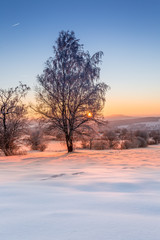 Sonnenuntergang Landschaft Winter Wonderland Erzgebirge Montanregion