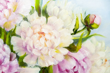 Obrazy  Różowe i białe tło piwonia. Obraz olejny kwiatowy tekstury