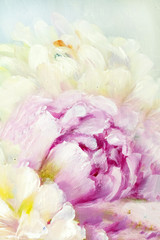 Pink and white peony background. Oil painting floral texture