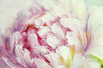 Pink and white peony background. Oil painting floral texture - obrazy, fototapety, plakaty
