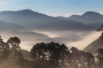 Greenery scene view of mountain forests in morning sunrise