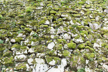Moss on the rock wall