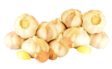 garlic isolated on white background