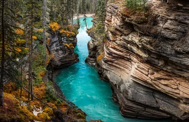 Afwasbaar Fotobehang Canada Athabasca-watervallen. Canada
