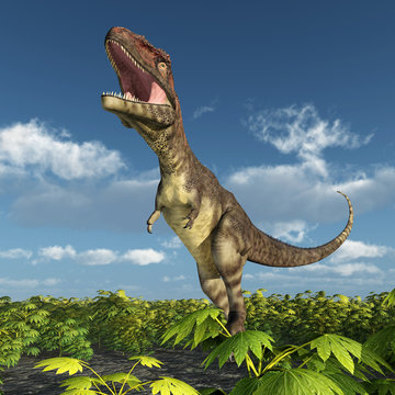 Dinosaur Mapusaurus