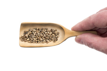 Some hemp seeds on a wooden spoon held by a human hand