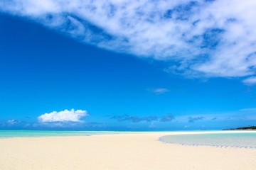 Fototapeta na wymiar White Sanded Beach Near a Tropical Forest - Zanzibar