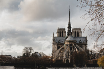 Fototapeta na wymiar Notre Dame de Paris in Paris France