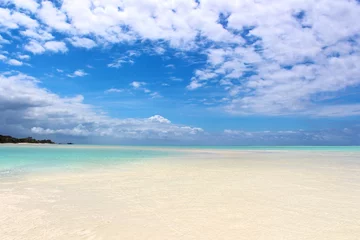 Cercles muraux Plage de Nungwi, Tanzanie White Sanded Beach Near a Tropical Forest - Zanzibar