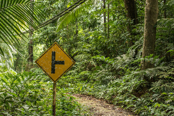 Street sign of a crossroad on a hiking trail in the middle of the djungle, Tioman, Malaysia