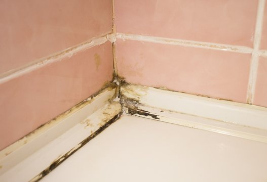 mold in the corner of the bathroom