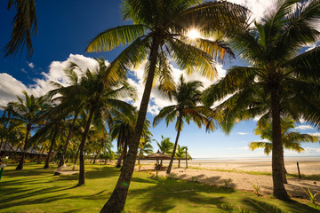 Obraz na płótnie Canvas Beach on Fiji - Viti Levu - Oceania
