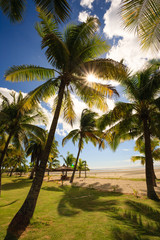 Obraz na płótnie Canvas Beach on Fiji - Viti Levu - Oceania