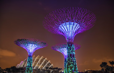 Obraz premium Gardens by the Bay Singapur