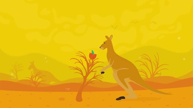 Animation Kangaroo Jumping