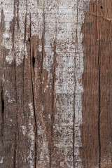 abstract wood aged weathered rough grain surface texture