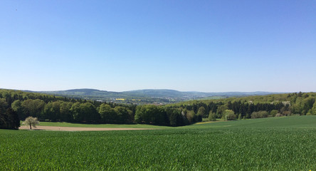 Taunus