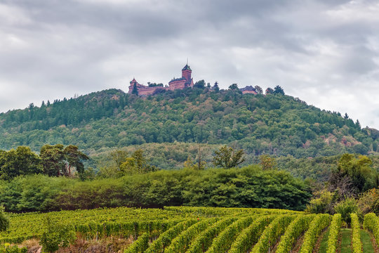 View of Haut-Koenigsbourg Castle, Alsace, France