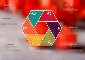 Illustration infographic template with hexagon divided to six parts