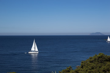 Obraz premium Sailing in Adriatic sea around Vis island