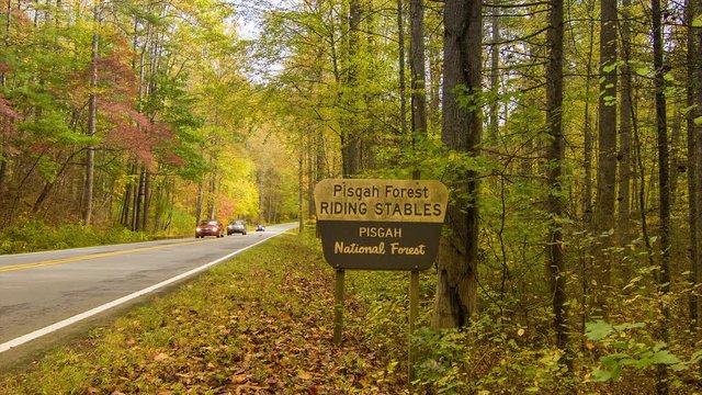 Cars Traveling in the Pisgah National Forest during Fall with an Autumn Colored Tree Canopy on Highway 276 near Brevard and Asheville in the Blue Ridge Mountains of Western North Carolina