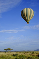 Fototapeta na wymiar Hot air balloon over the Serengeti