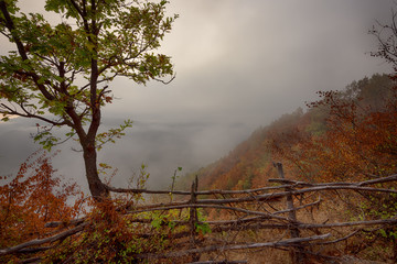 Fototapeta na wymiar Foggy autumn morning along the Arda River, Rhodope Mountains, Bulgaria