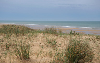 Fototapeta na wymiar Dune à Olonne-sur-Mer
