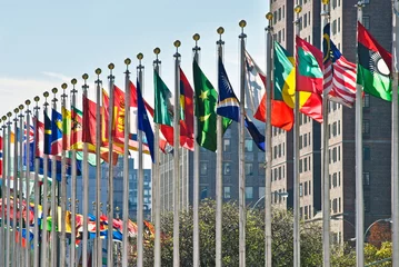 Printed roller blinds American Places Flags of all nations outside the UN in New York City.