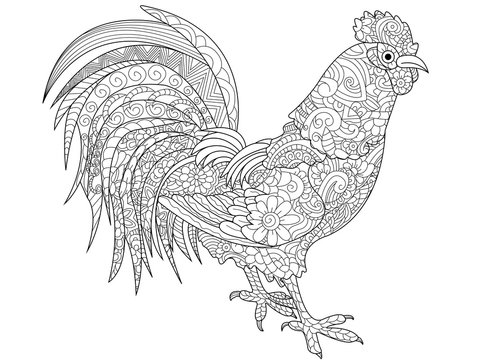 Cock coloring book vector for adults