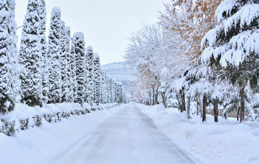 Karlar Altında Kalmış Yol