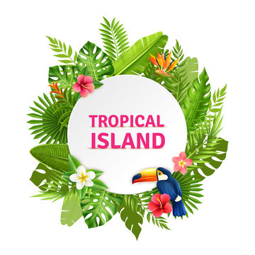 Tropical Island Flora And Toucan Frame 