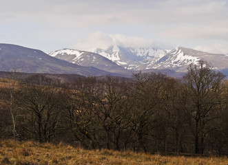 UK, Scotland, Highlands, Roy Bridge, View towards Stob Ban and the Grey Corries.