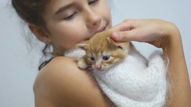 girl petting a small red cat kitten holds